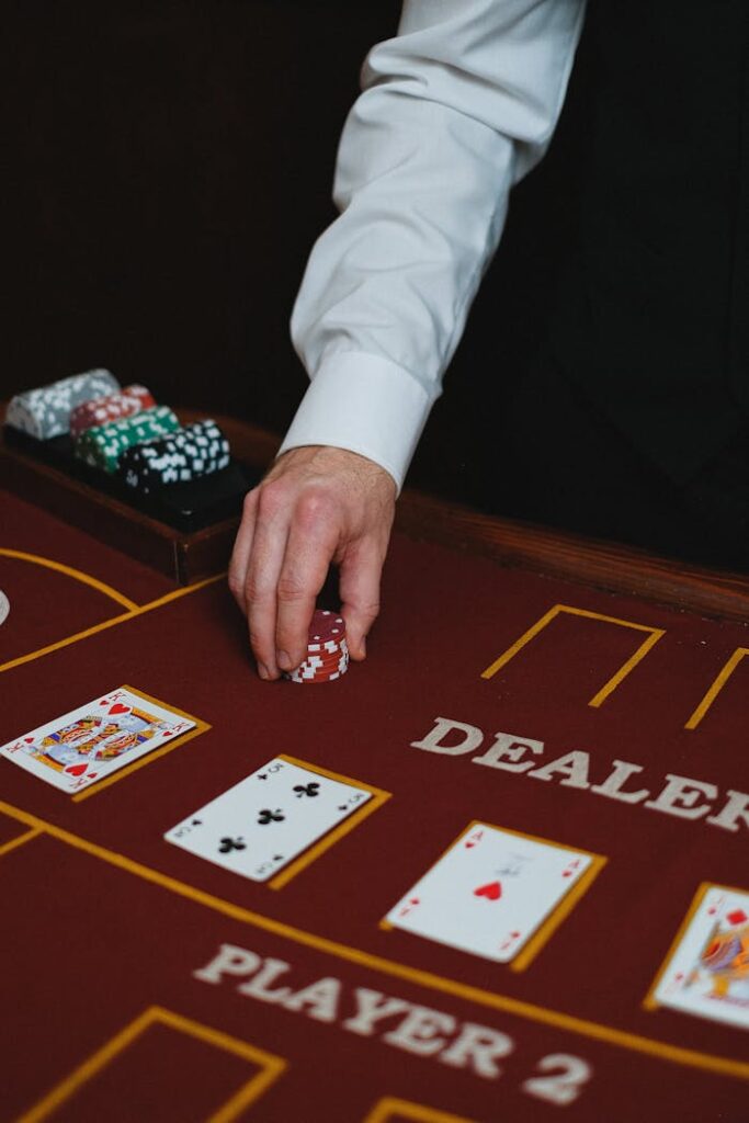 Dubibet Official Website: A Guide for Users