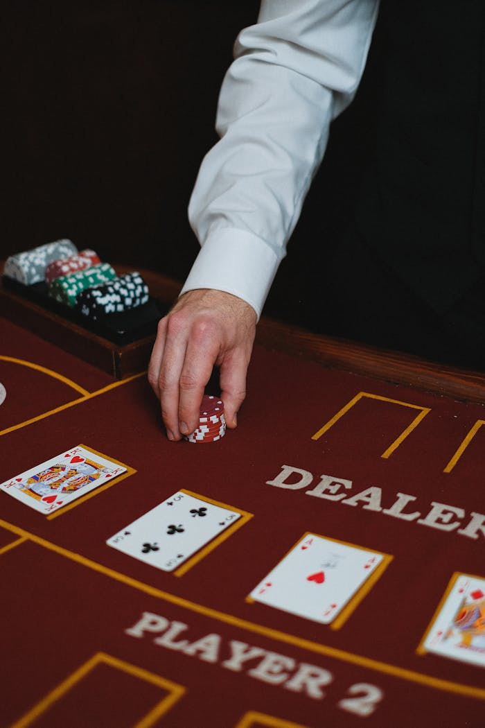 Dubibet Official Website: A Guide for Users